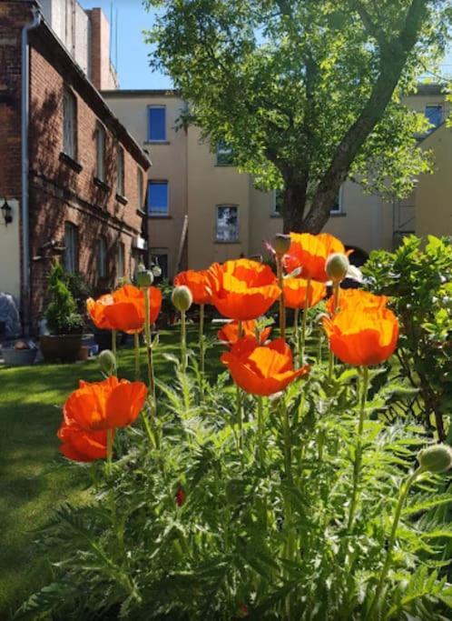 City Appartement Mit Garten, Zentral Und Trotzdem Ruhig คอตต์บุส ภายนอก รูปภาพ